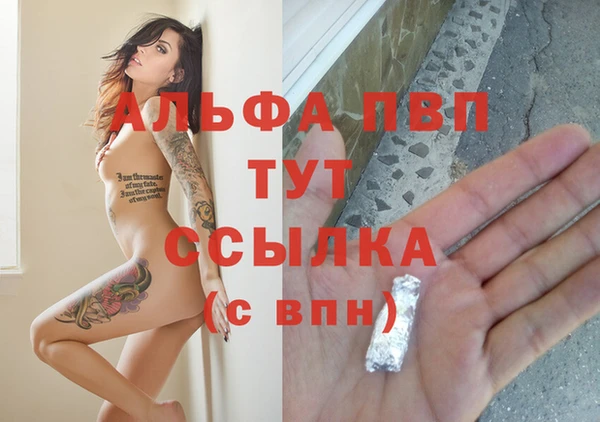 PSILOCYBIN Покровск