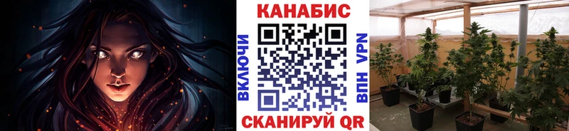KRAKEN зеркало  Камышлов  Марихуана SATIVA & INDICA 